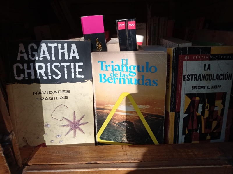 Nuevos libros en la casita lectora de Plaza Lainez