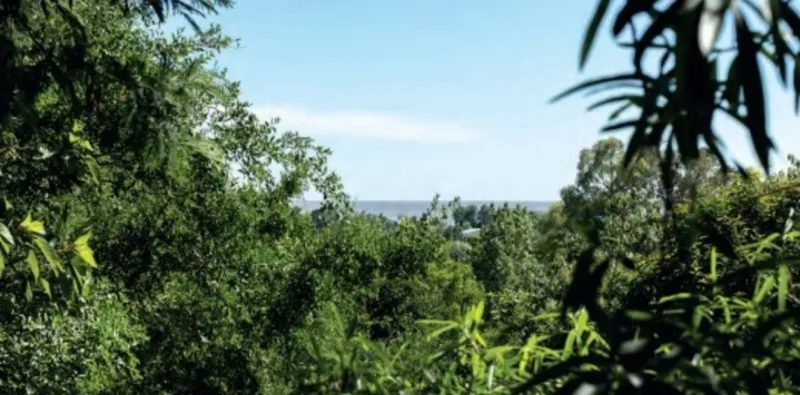   El predio guarda encantos como su vegetación autóctona, la vista al río y 99 variedades de aves