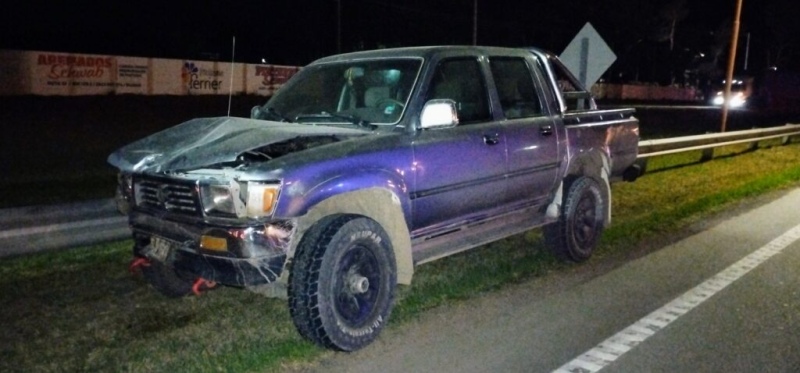 Hace instantes: Un perro provocó un fuerte choque en la ruta 33, a metros del ingreso a Pigüé