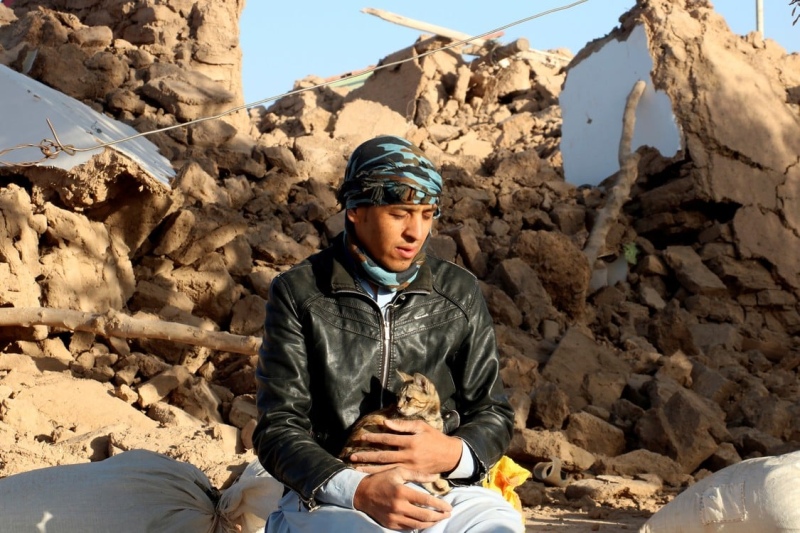 28/31Un niño sostiene a su gato sentado en el patio de su casa destruida tras un terremoto en el distrito de Zindah Jan donde potentes terremotos mataron al menos a 2.000 personas en el oeste de Afganistán. Foto: AP Photo/Omid Haqjoo