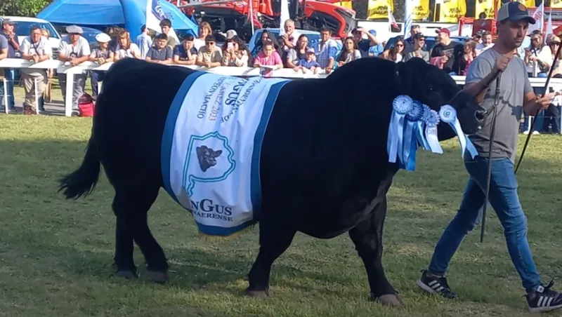 El GC Angus de Suárez, durante el desfile. Fotos: Agencia Coronel Suárez