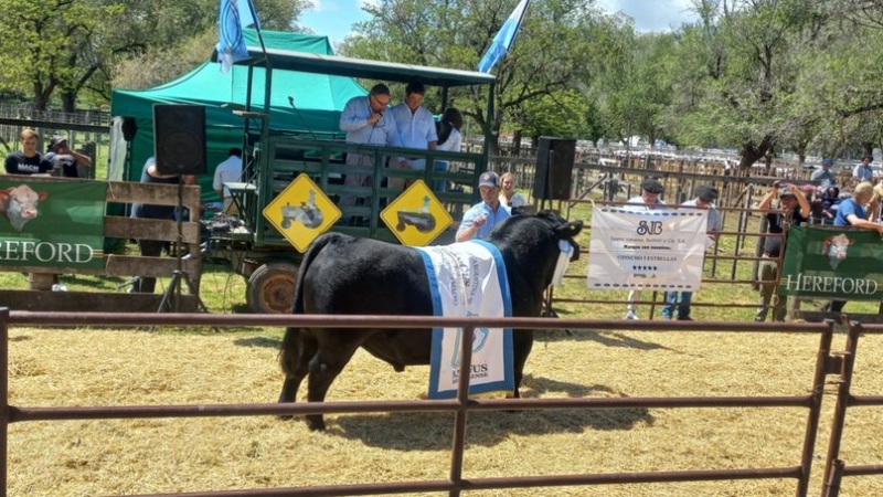 Sociedad Rural: se vendieron animales por más de $164 millones