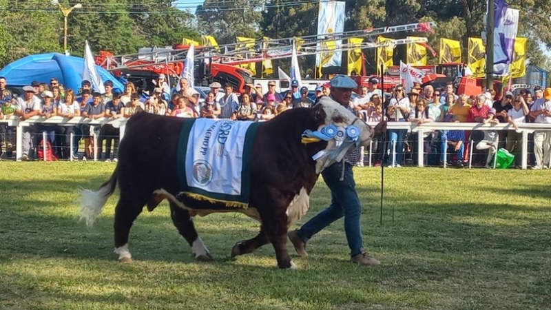  El GC Hereford fue vendido en 2,8 millones de pesos.