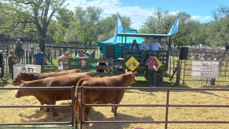 Sociedad Rural: se vendieron animales por más de $164 millones