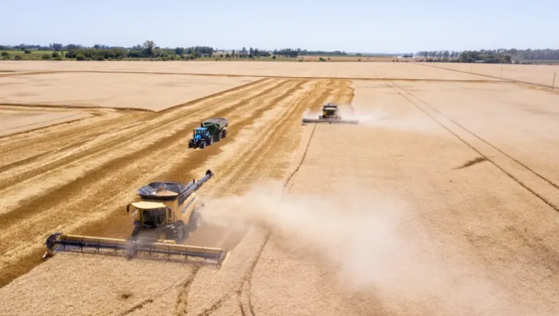 Siete de cada 10 dólares: la ecuación que el campo le muestra al nuevo gobierno