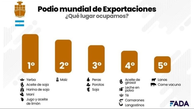 Siete de cada 10 dólares: la ecuación que el campo le muestra al nuevo gobierno