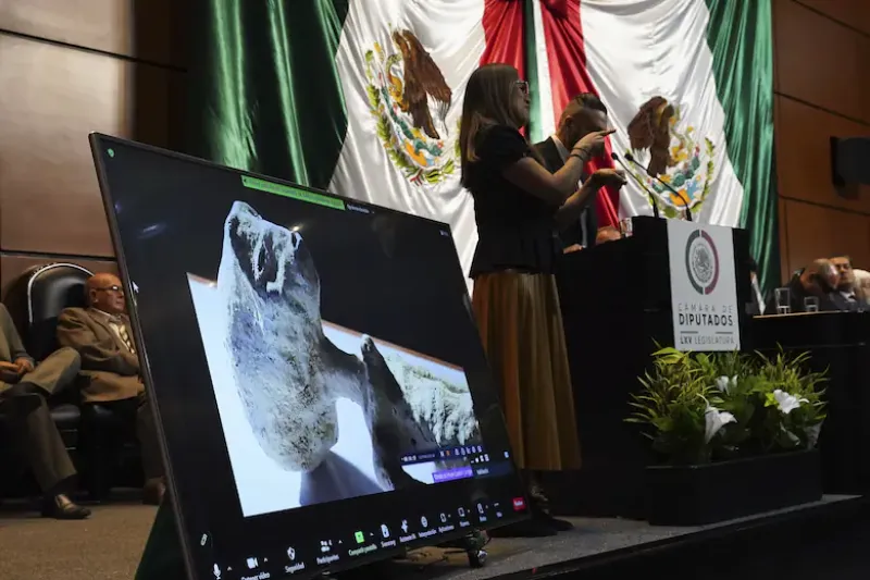 Presentan lo que afirman son formas de vida extraterrestres en una pantalla en la Cámara de Diputados en la Ciudad de México, el martes 7 de noviembre de 2023.Marco Ugarte - AP