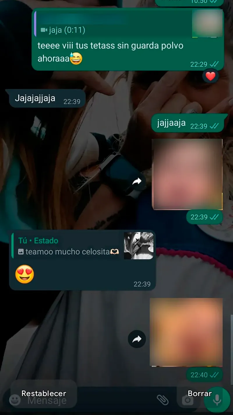  Uno de los chats que probarían el intercambio entre la docente y el alumno con el que mantendría un vínculo sentimental