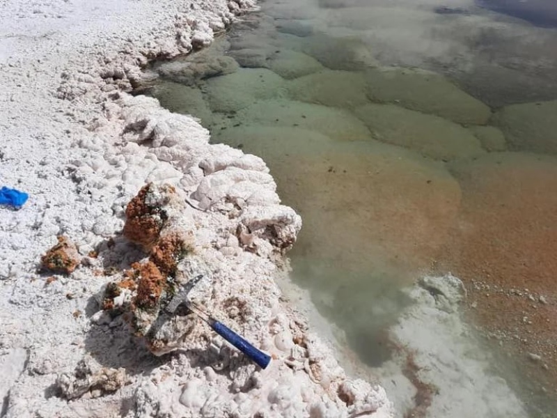  Hynek usó un martillo de roca para abrir una formación de estromatolito, revelando su centro rosado. Más estromatolitos crecen bajo el agua cercana. (Universidad de Boulder)