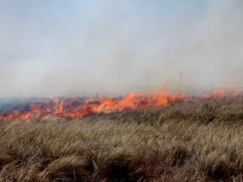 Nuevo incendio en la zona de Fra-pal