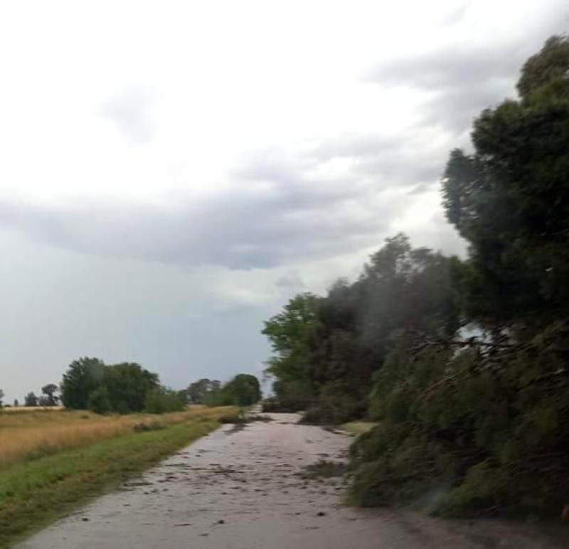 La tormenta complicó el tránsito sobre la ruta a Pasman