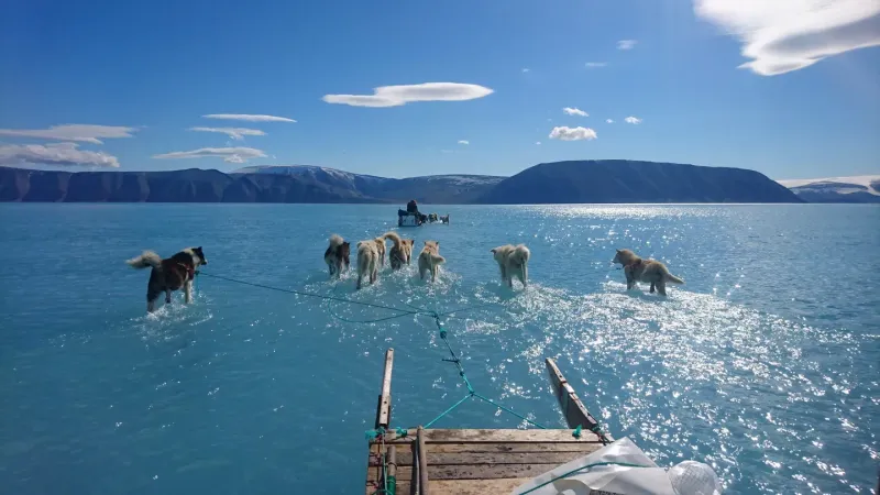 Fotografía facilitada por el Instituto Meteorológico de Dinamarca que muestra la fotografía tomada por Steffen M. Olsen, uno de sus investigadores, en el noroeste de Groenlandia en la que se ve un trineo que avanza por el hielo derretido, con las patas de