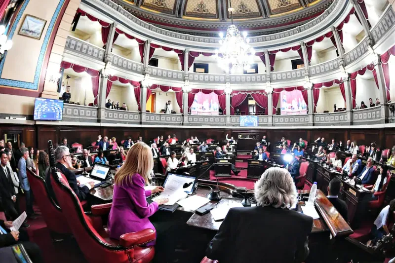 Los votos de la UCR, Pro y de libertarios disidentes que ayudaron a Kicillof y enfurecieron a Milei