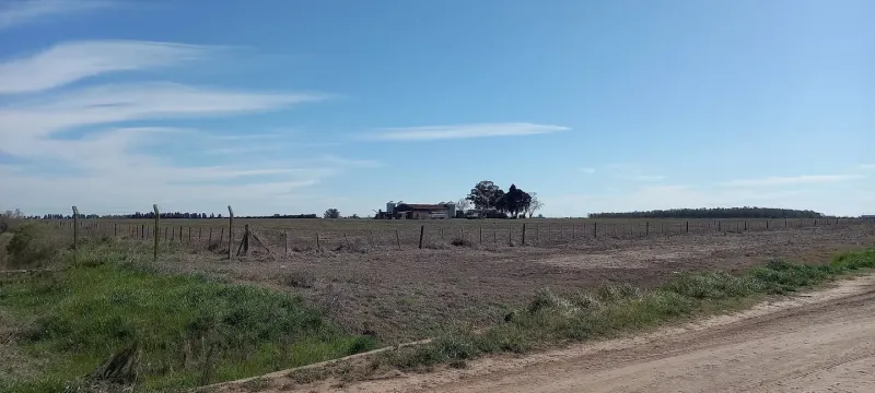 El impuesto inmobiliario rural bonaerense llega con aumentos de hasta el 200% y una cuota extra