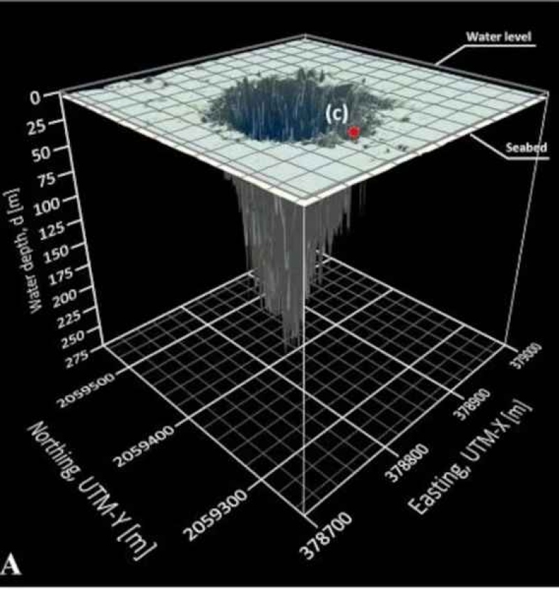 Así es la forma que tendría el sumidero según las investigaciones que se hicieron al respecto(Fuente: Frontiers Marine Sciences)