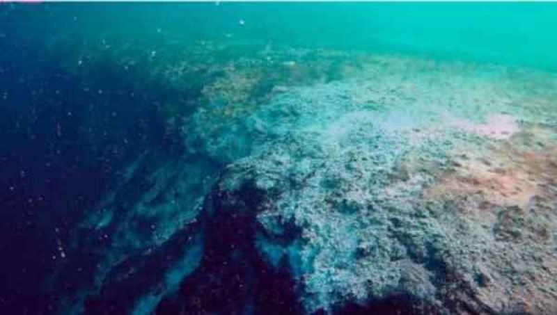 Así es la entrada al agujero azul del Mar Caribe(Fuente: Captura de video - ECOSUR)