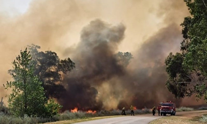 Un incendio obligó a cortar el acceso a Monte Hermoso