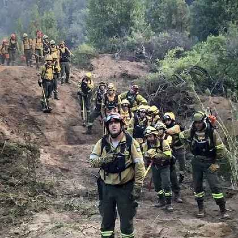  Cientos de brigadistas trabajan para intentar controlar el incendio en el Parque Nacional Los Alerces. (@pn_los_alerces)