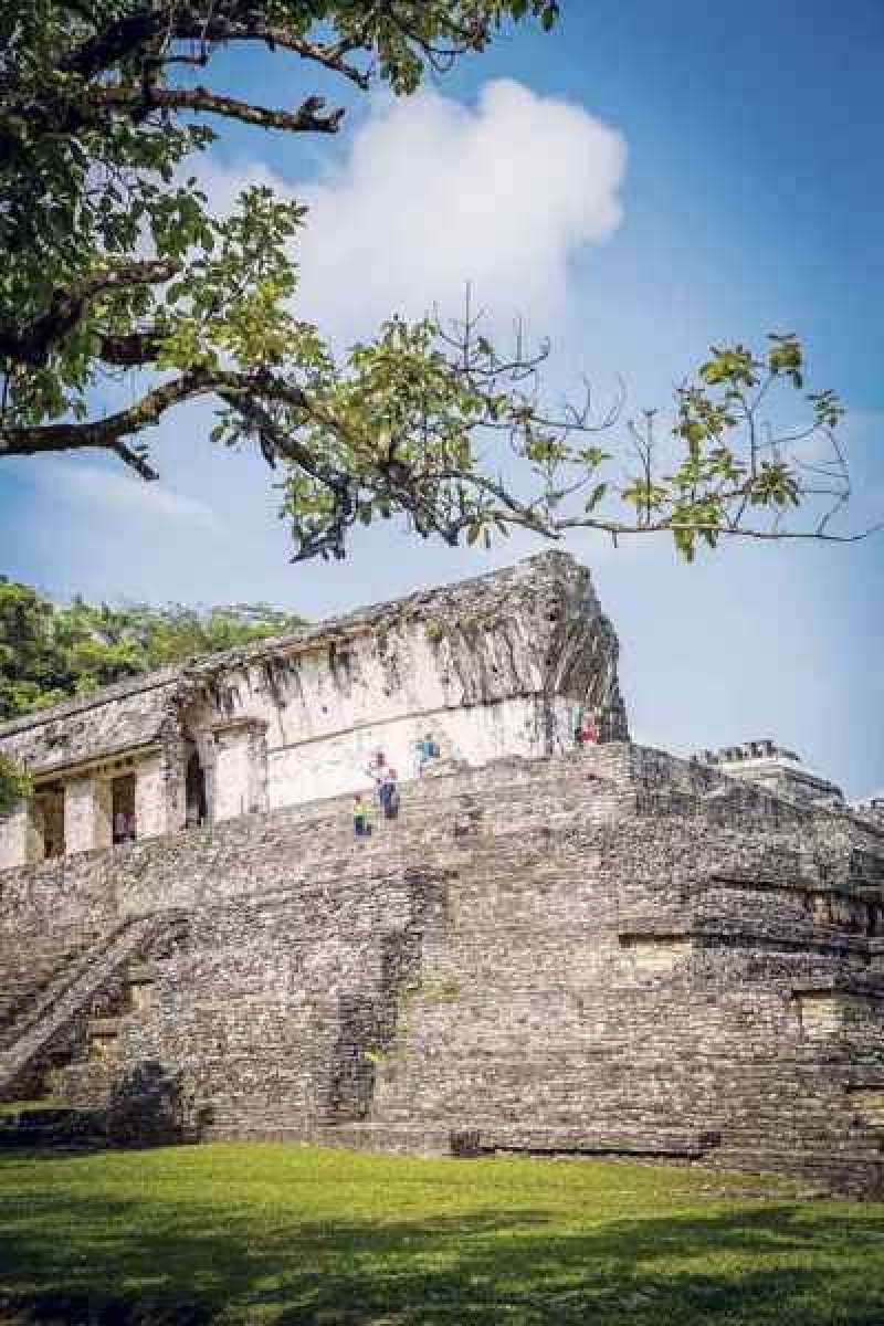 Las ruinas de Palenque, uno de los sitios a los que acerca el trenMariana Eliano - Lugares