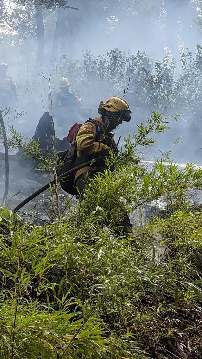  Incendio en Los Alerces, Chubut.