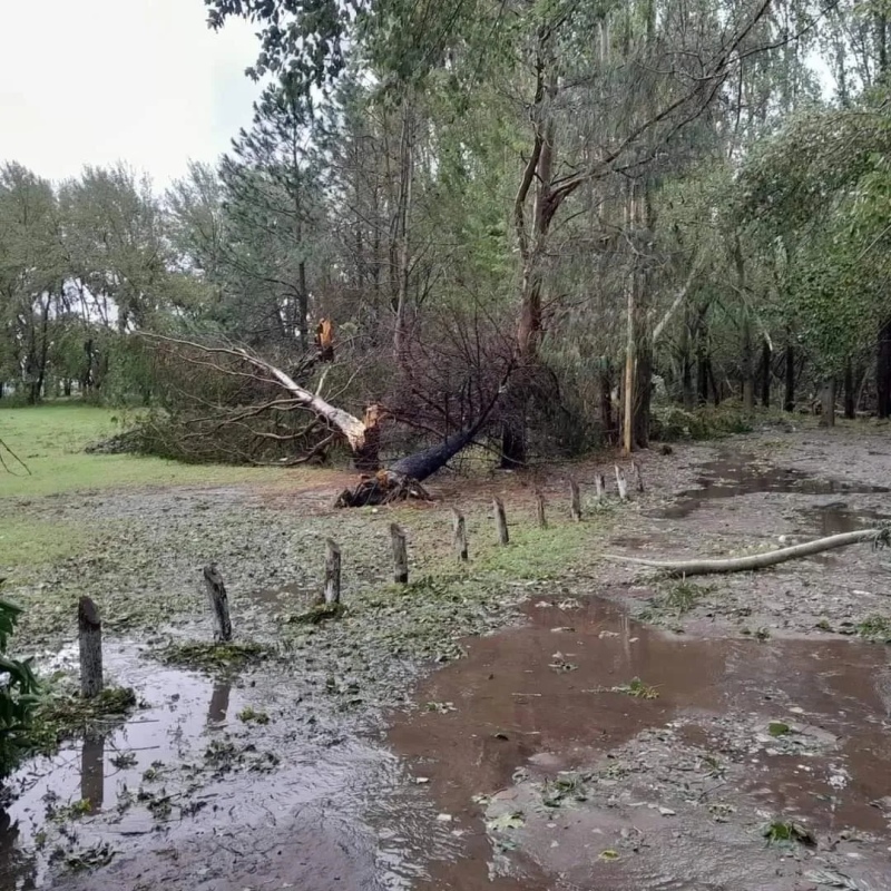 Imágenes impactantes: la tormenta hizo estragos en Nueve de Julio y se acerca al AMBA