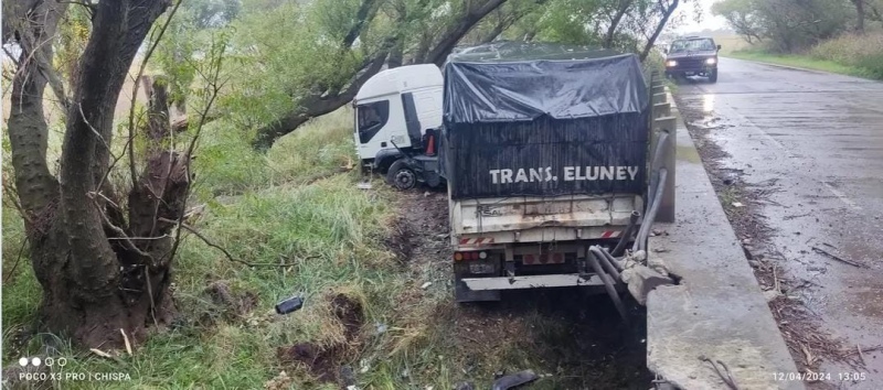 Un camión chocó contra un carpincho en el Puente de Crocci y volcó