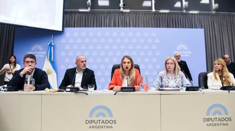 Comenzará el debate de la Ley Ómnibus en Diputados. (Foto: Diputados)