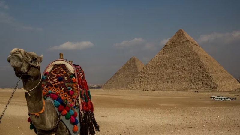  La importancia del descubrimiento reside en la demostración de la eficacia de la tecnología moderna en la preservación y estudio del patrimonio cultural (Getty Images)