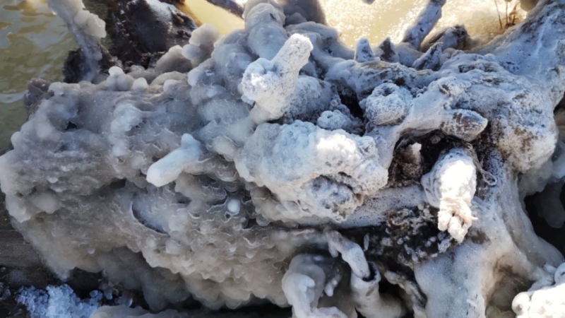 Una maravilla que se repite año a año: la costa del lago Epecuén se tiñó de blanco