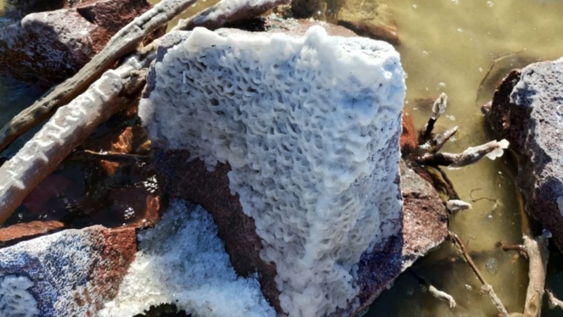 Una maravilla que se repite año a año: la costa del lago Epecuén se tiñó de blanco