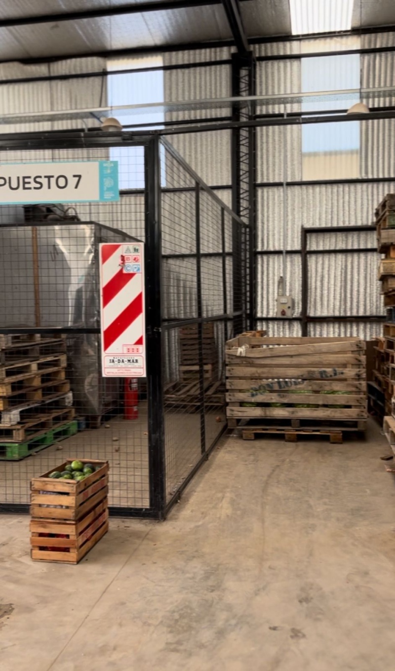 El mercado frutihortícola de Coronel Suárez es un fiasco