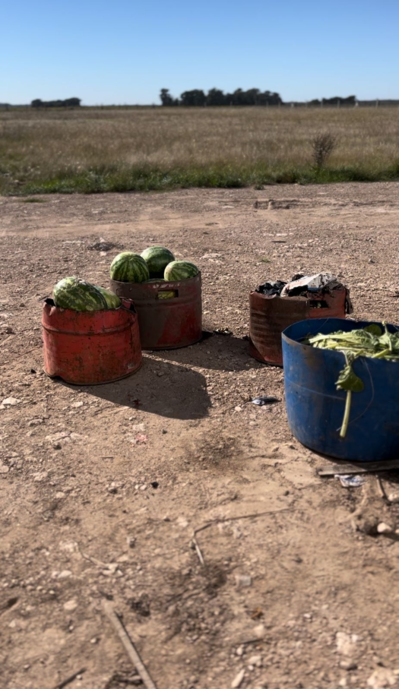 El mercado frutihortícola de Coronel Suárez es un fiasco