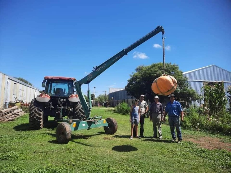 En Córdoba un productor cosechó una calabaza de 109 kilos